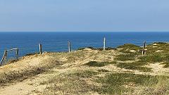 Sylt (39)